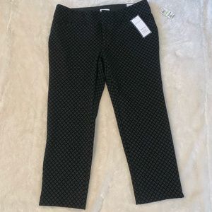 Charter Club Black Velvet Pant 18W